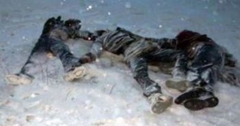 لە شارێکی کوردستان 13 کۆچبەر لەدەستدا